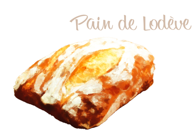 フランスのパン | パン・ド・ロデヴ